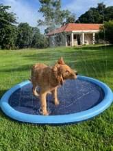SplashPaw™ Fun Zone - The Splash Pad Makes Your Pup and Kids Happy! - Montero Milan