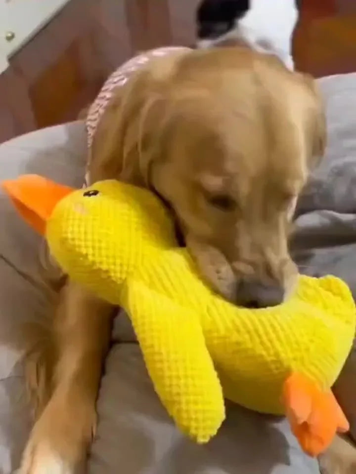 SweetS Large Dog Chew Toy - Heavy-Duty Plush Chew Proof Duck, Interactive Squeaker, for Puppies & Adult Dogs, Teeth Cleaning, No Batteries Needed, Safe for Aggressive Chewers - Ideal for Golden Retrievers, Corgis, Cats - Dura