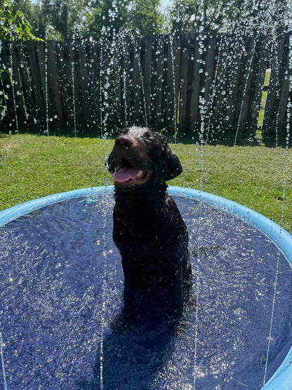 SplashPaw™ Fun Zone - The Splash Pad Makes Your Pup and Kids Happy! - Montero Milan