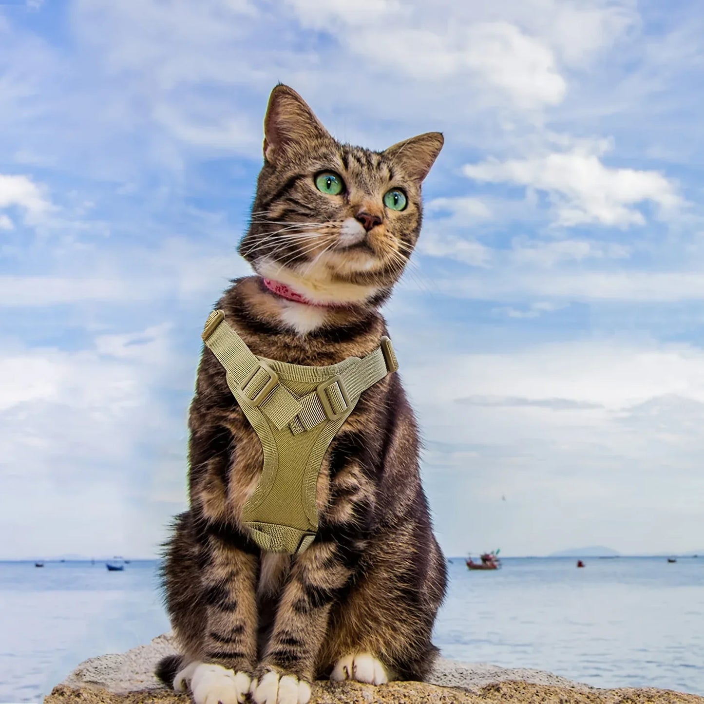 Tactical Cat Vest with Adjustable Straps & Red Cross Patch - Durable 600D Nylon Chest Harness for Small Dogs & Cats, Secure Leash Attachment, Ergonomic Design for Training & Outdoor Adventures, Cat Vest Harness, Adventure Pet