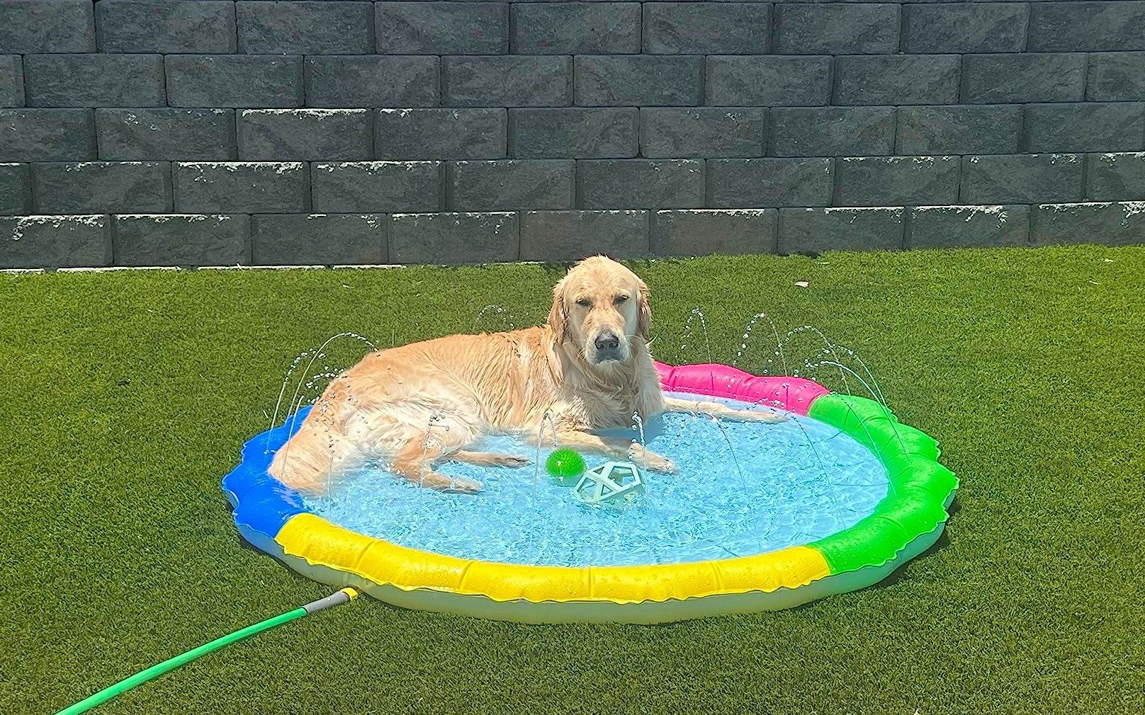 SplashPaw™ Fun Zone - The Splash Pad Makes Your Pup and Kids Happy! - Montero Milan
