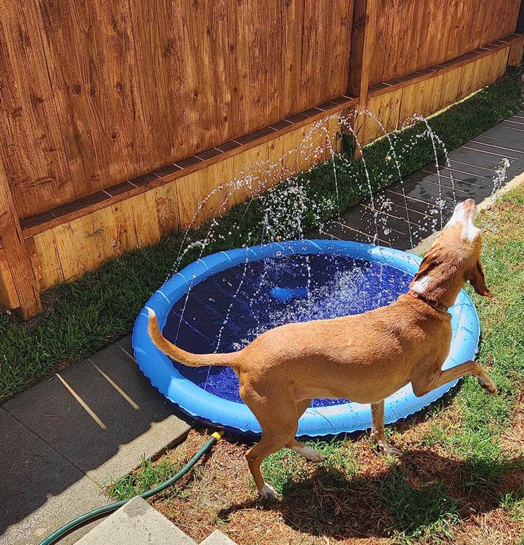 SplashPaw™ Fun Zone - The Splash Pad Makes Your Pup and Kids Happy! - Montero Milan
