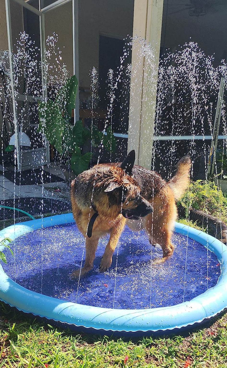 SplashPaw™ Fun Zone - The Splash Pad Makes Your Pup and Kids Happy! - Montero Milan