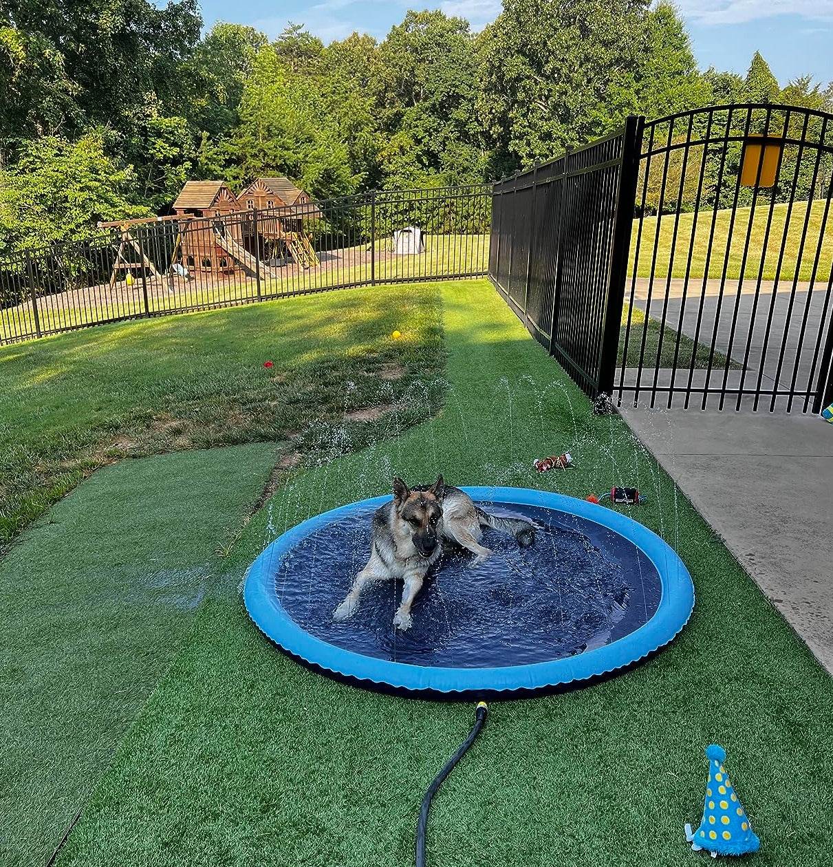 SplashPaw™ Fun Zone - The Splash Pad Makes Your Pup and Kids Happy! - Montero Milan