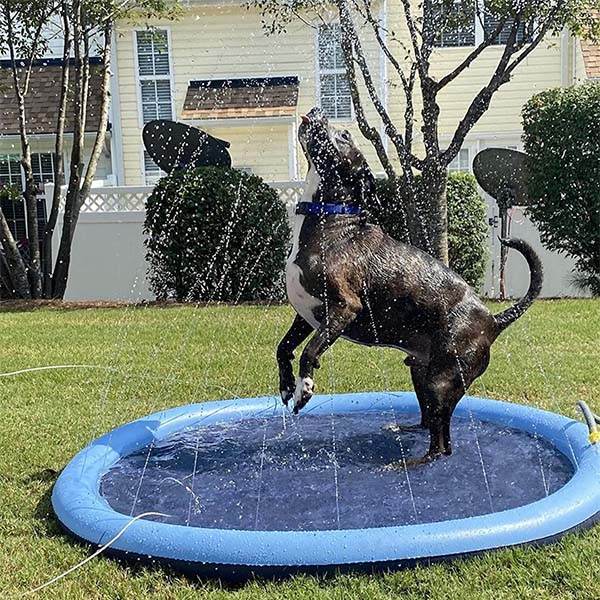 SplashPaw™ Fun Zone - The Splash Pad Makes Your Pup and Kids Happy! - Montero Milan