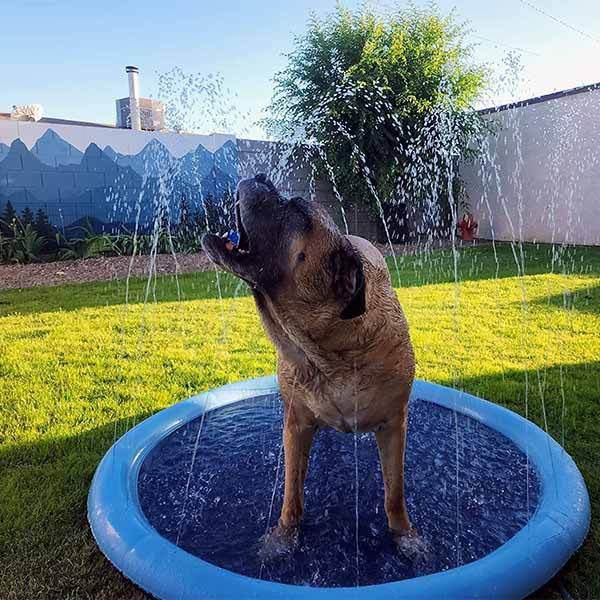 SplashPaw™ Fun Zone - The Splash Pad Makes Your Pup and Kids Happy! - Montero Milan